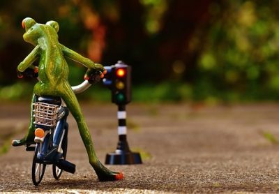 15 Derniers développements chez les moniteur auto école.