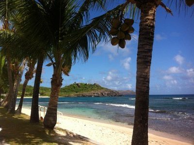villa saint barth
